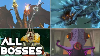 Zelda: Tears of the Kingdom - All Bosses and True Ending