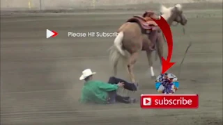 Horse Reining Accident Video