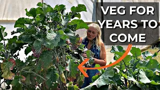 Perennial Plants at Incredible Vegetables | Easy to grow veg to harvest year after year