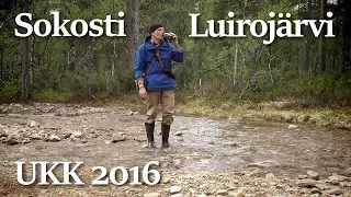 Lapin vaellus alkukesällä 2016 | Urho Kekkosen kansallispuisto