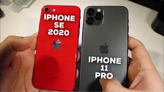 iPhone SE 2020 vs iPhone 11 Pro