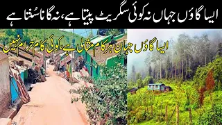 Pakistani Village Jahan Koi Be Namazi Nae, Cigarette Nae, Masjid Me Nikah & Qabrain Bhi Ik Jesi