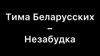 Тима Белорусских- Незабудка Remix