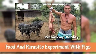 Rethinking Reality: Food and Parasite Experiment With Pigs | Dr. Robert Cassar