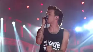 LARRY STYLINSON || OTRA 2015 || Louis + Harry