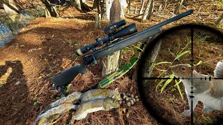 Savage .22 FV-SR Squirrel hunt (Scope cam 4k)