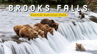 Not Your Typical National Park Experience | Bears At Brooks Falls