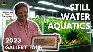 ADA Gallery Bangalore Ft. Adip Sajjan Raj - Nature Aquarium Gallery Tour | Still Water Aquatics