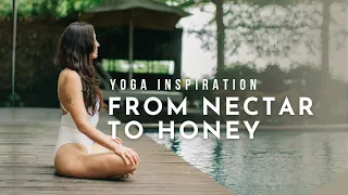 Yoga Inspiration: From Nectar to Honey | Meghan Currie Yoga