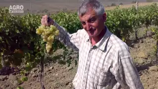 Gheorghe și Eugen Tabără, Nisporeni, 03.04.2016