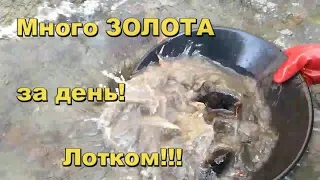 Ручьевое золото.