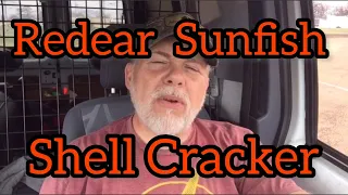 Redear Sunfish/Shell Cracker