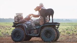 Dove Hunting - 24.7Hunt - Szn 3 Ep. 1 - Dove Fellowship