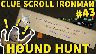 The Grind is Finally Over... - Clue Scroll Ironman #43 (Hound Hunt)