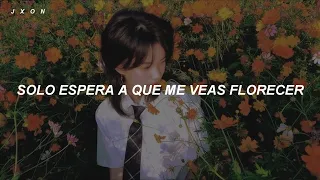 TWICE - BLOOM [sub español]