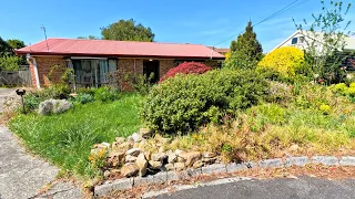 Her Brother PASSED AWAY and left her this Crazy OVERGROWN YARD!