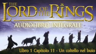 IL SIGNORE DEGLI ANELLI - AUDIOLIBRO - Libro 1 Capitolo 11 - UN COLTELLO NEL BUIO