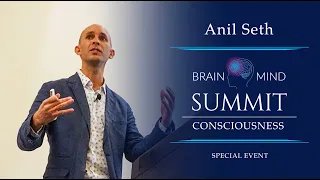 Anil Seth - Conscious Perception as Controlled Hallucination