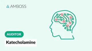 Auditor: Neurotransmitter 1 - Kateocholamine | AMBOSS