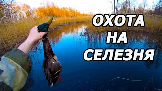 ОХОТА НА СЕЛЕЗНЯ С МАНКОМ/отдуплетился/МАСТЕРСТВО НЕ ПРОПЬЕШЬ