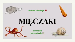 #26 Mięczaki - małże, ślimaki, głowonogi - budowa, charakterystyka 📕 biologia rozszerzona do matury