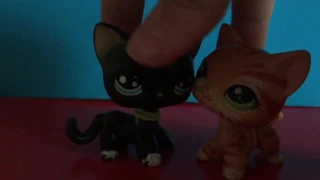 LPS:Сериал~X~ 4 серия