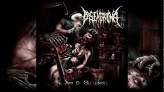 Dysembrioma - The Art Of Suffering.avi