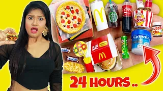 Eating Only MINI FOODS For 24 Hours Challenge | Mini Food Eating Challenge