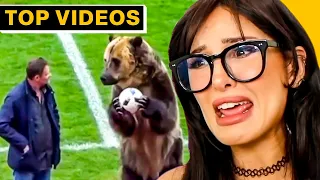 Weirdest Things That Only Exist In... | SSSniperWolf