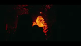 By Novak Party - FOREST /// 28 AUG 2021 /// AFTERMOVIE