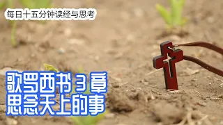 每日十五分钟读经与思考 - 歌罗西书 3 章 “思念天上的事”