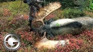 Epic Alaskan Moose Hunt with Stuck N The Rut