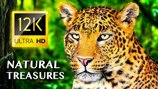 Earth's Most Breathtaking Natural Treasures 12K ULTRA HD