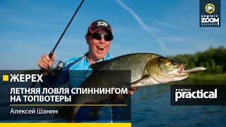 Жерех. Летняя ловля спиннингом на топвотеры. Алексей Шанин. Anglers Practiсal