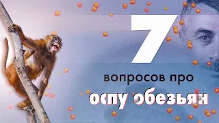 7 вопросов про оспу обезьян