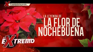 Esta es la leyenda de la Flor de Nochebuena. | Al Extremo