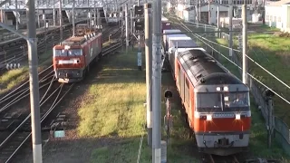 2014.8.28(木)　忙しすぎる早朝の五稜郭駅　貨物・寝台列車が次々発着！