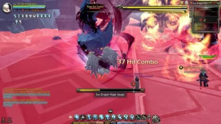 Dragonnest Crusader [Awakening] solo ice 4man