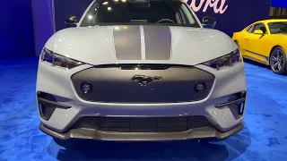 The New Ford Mach E Rally