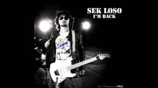 ขอตายในอ้อมกอดเธอ - Sek Loso [Official Audio]