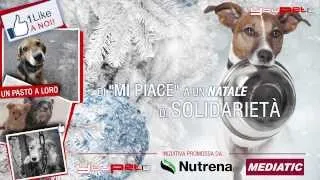 Di "MI PIACE" a un Natale di solidarietà