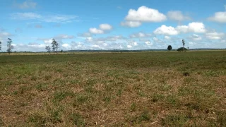 VENDO, ARRENDO ou faco parceria com 6.000 a 8.000 hectares para lavoura REGIAO PORTO BARCARENA PARA