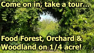 A Tour of The Woodland Orchard - May 2024