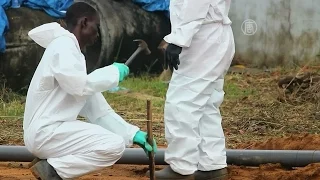 Германия помогает Либерии бороться с Эболой (новости)