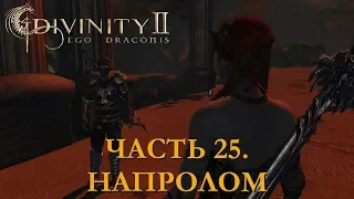 DIVINITY 2 КРОВЬ ДРАКОНОВ// ПЕРЕПРОХОЖДЕНИЕ// НАПРОЛОМ