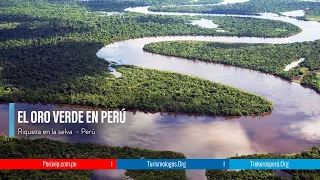 🇵🇪El Mejor Documental "EL AMAZONAS, PULMON DLE MUNDO" | Machu Picchu | Perú Vip | 🇲🇽🇧🇷🇺🇸🇦🇷🇨🇴🇨🇱