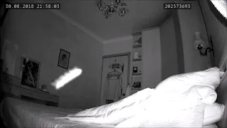 Летающая по комнате сороконожка | Flying centipede in bedroom