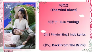 风吹过 (The Wind Blows) - 刘宇宁 (Liu Yuning) | [Chi|Pinyin|Eng|Indo Lyrics] |《护心 Back From The Brink》