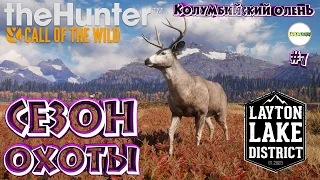 THEHUNTER: CALL OF THE WILD™- СЕЗОН ОХОТЫ. ОЗЁРНЫЙ КРАЙ ЛЕЙТОН (LAYTON LAKE). КОЛУМБИЙСКИЙ ОЛЕНЬ. #7