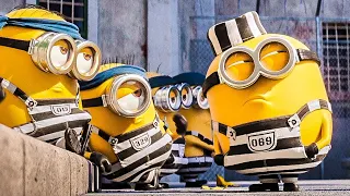 Pharrell Williams - Freedom / MINIONS  (Music Video HD)